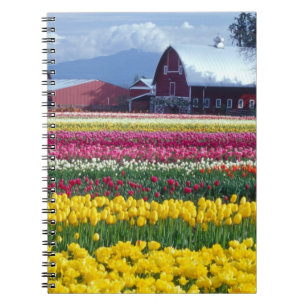 Caderno Espiral Campo de exibição de tulipas