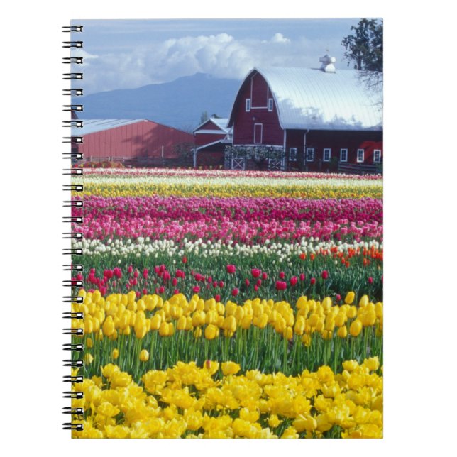 Caderno Espiral Campo de exibição de tulipas (Frente)