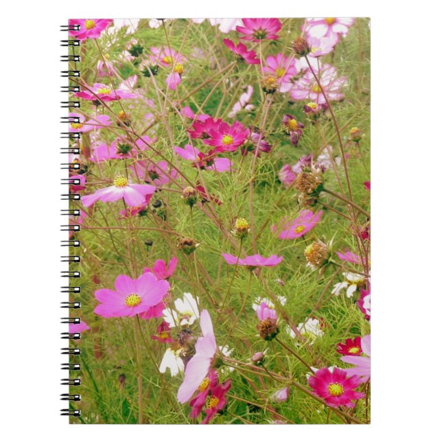Caderno Espiral Campo De Flores Rosa (Frente)