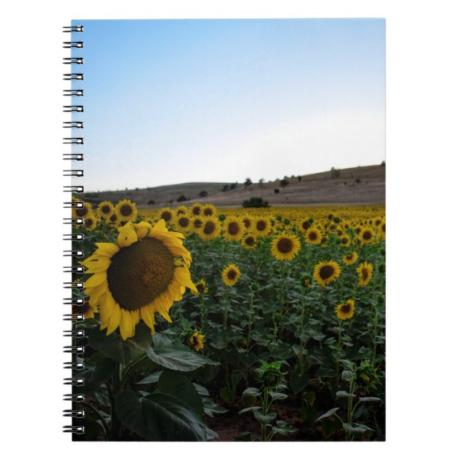 Caderno Espiral Campo de girassol (Frente)