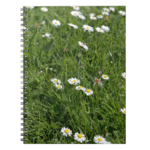 Caderno Espiral Campo de grama verde com flores brancas e amarelas