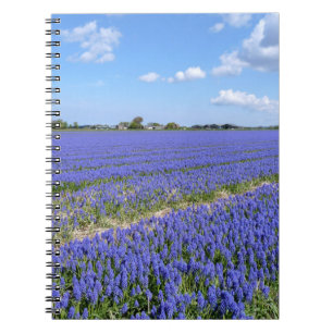 Caderno Espiral Campo de Hyacinths