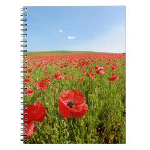 Caderno Espiral Campo de papoila.