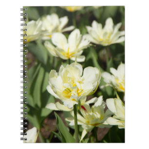 Caderno Espiral Campo de tulipas brancas Foto