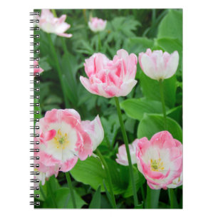 Caderno Espiral Campo de tulipas rosa