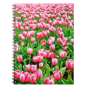 Caderno Espiral Campo de Tulipas Rosa