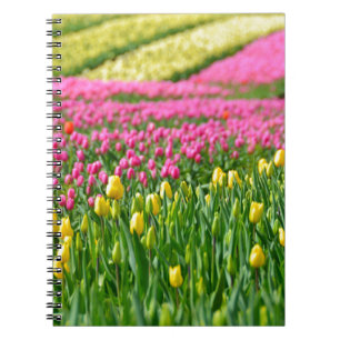 Caderno Espiral Campos de Cores