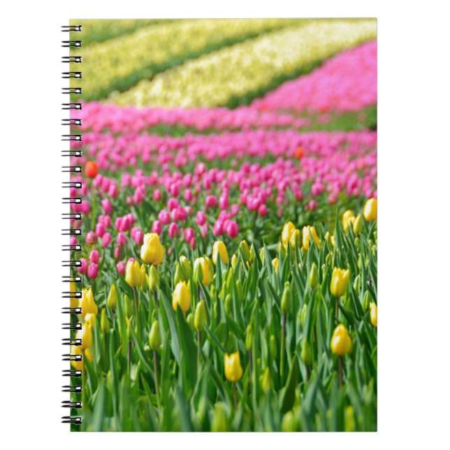 Caderno Espiral Campos de Cores (Frente)