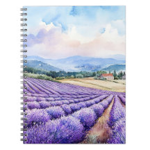Campos de lavanda lindos