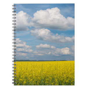 Caderno Espiral Campos e Nuvens de Canola