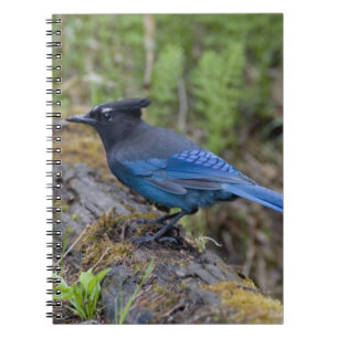 Caderno Espiral Canadá: Colúmbia Britânica, Yoho NP, Charneca-azul