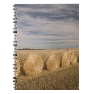 Caderno Espiral Canadá, Saskatchewan, Craik: Fardos de feno / Outo