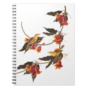 Caderno Espiral Canaviais Amarelos de Warbler na Flor da Vinha