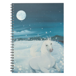 Caderno Espiral Canção branca 1996