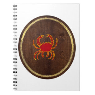 Caderno Espiral Cancer 2009