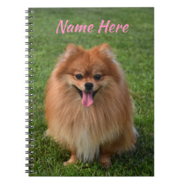 Caderno Espiral Canino Pulomerano Fluffy Brown Personalizado