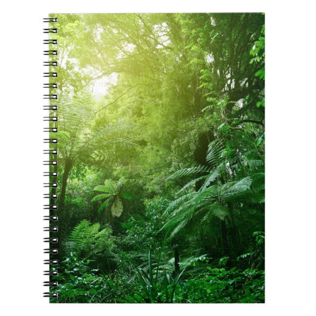 Caderno Espiral Canopia da árvore solar na selva tropical  (Frente)