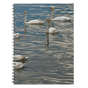Caderno Espiral Canto do Cisne
