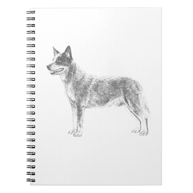 Caderno Espiral Cão australiano do gado (Frente)