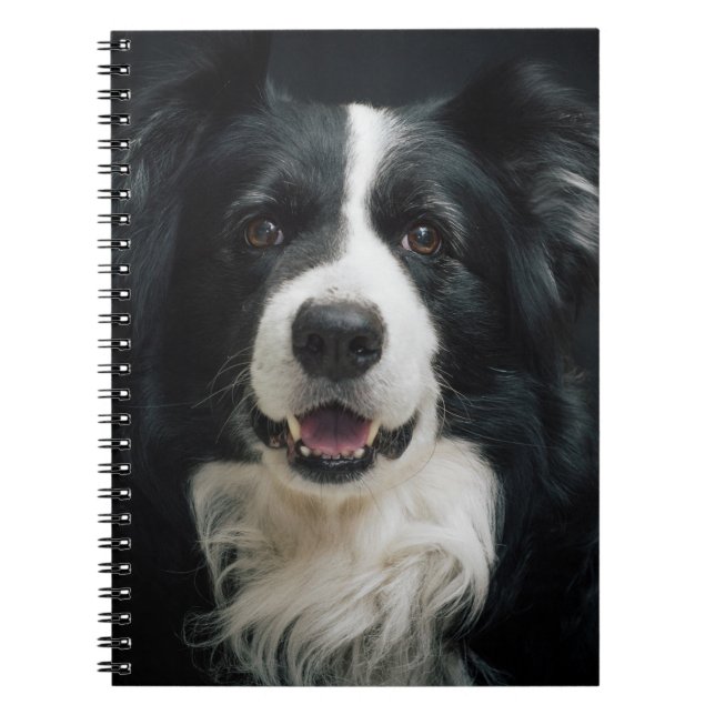 Caderno Espiral Cão bonito (Frente)