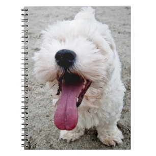 Caderno Espiral Cão branco do filhote de cachorro feliz, malteese,