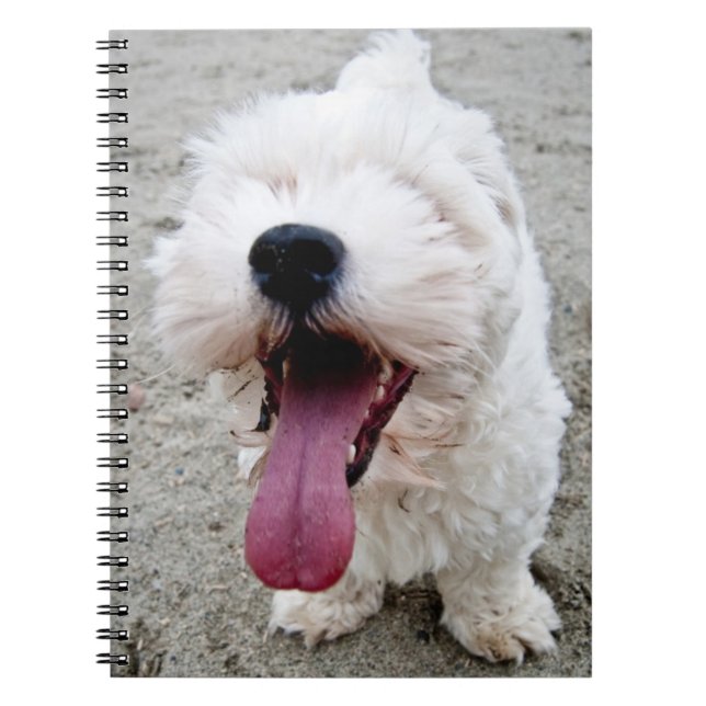 Caderno Espiral Cão branco do filhote de cachorro feliz, malteese, (Frente)