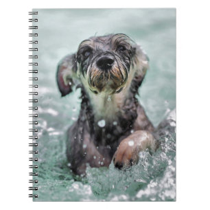 Caderno Espiral Cão Cachorro Cachorro