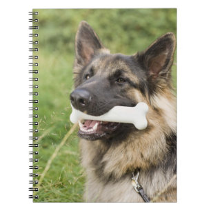 Caderno Espiral Cão com osso