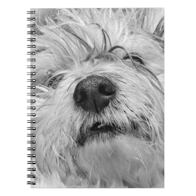 Caderno Espiral Cão Coton de Tulear (Frente)