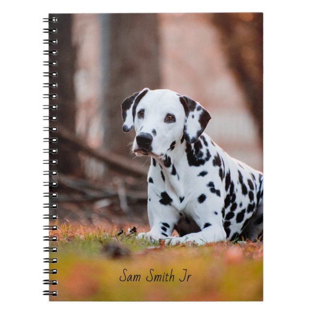 Caderno Espiral Cão Dalmatian personalizado (Frente)