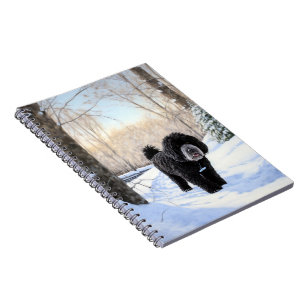 Caderno Espiral Cão de Água Português Deixe Nevar Natal