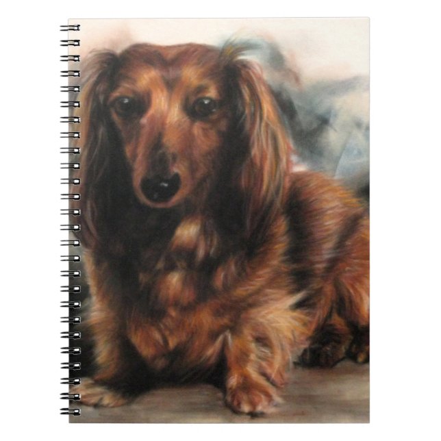 Caderno Espiral Cão de Dachshund de Cabelo Longo (Frente)