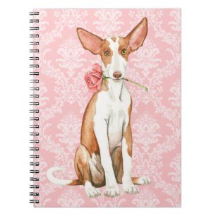 Caderno Espiral Cão de Ibizan cor-de-rosa dos namorados