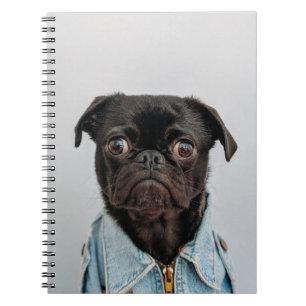 Caderno Espiral cão de negócios