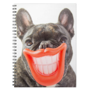 Caderno Espiral Cão de sorriso das imagens   A de Getty