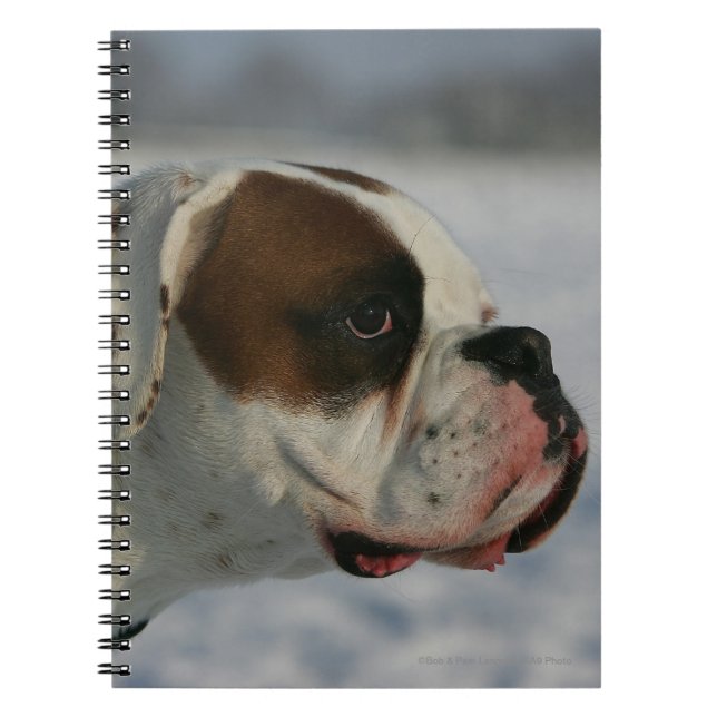 Caderno Espiral Cão do pugilista na neve (Frente)