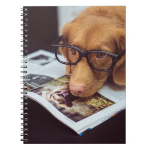 Caderno Espiral Cão esperto com vidros em um livro