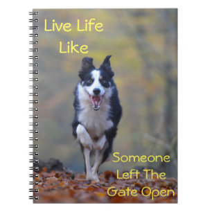 Caderno Espiral Cão Feliz Cão - Citação de Atitude Positiva Mo