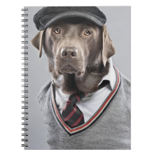 Caderno Espiral Cão na camisola e no boné