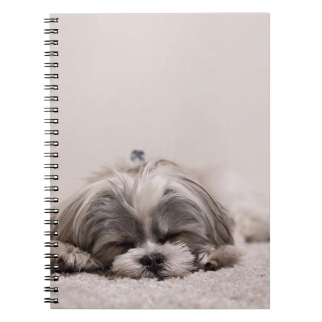 Caderno Espiral Cãozinho Dormindo (Frente)