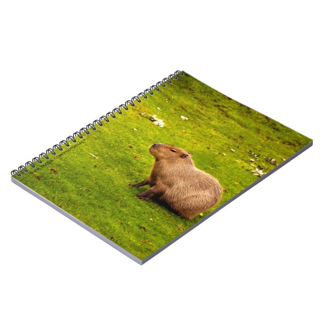 Caderno Espiral Capivara (Left Side)