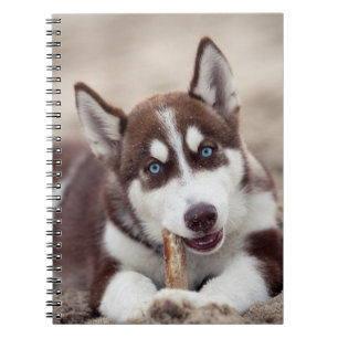 Caderno Espiral Capoeira Siberiana na praia