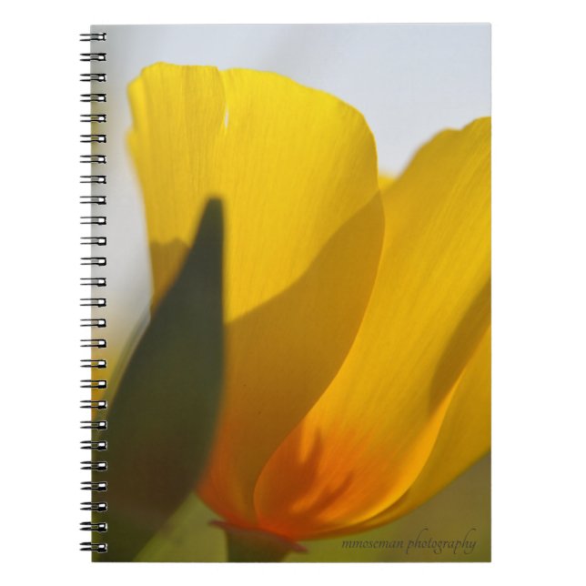 Caderno Espiral Cápsula cheia de luz (Frente)