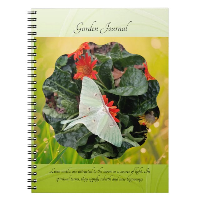 Caderno Espiral Captivando Luna Moth (Frente)