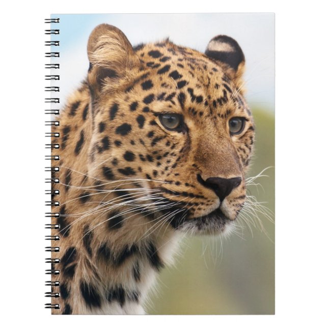Caderno Espiral Captura de Cabeça Leopardo (Frente)