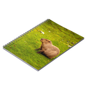 Caderno Espiral Capybara