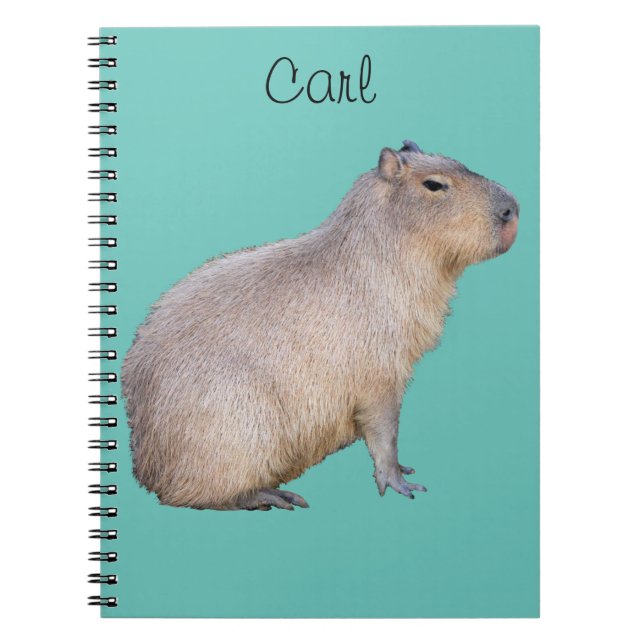 Caderno Espiral Capybara (Frente)
