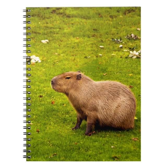 Caderno Espiral Capybara (Frente)