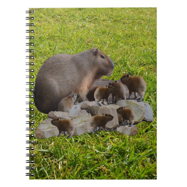 Caderno Espiral Capybara Mummy Com Bebês, Notebook (Frente)