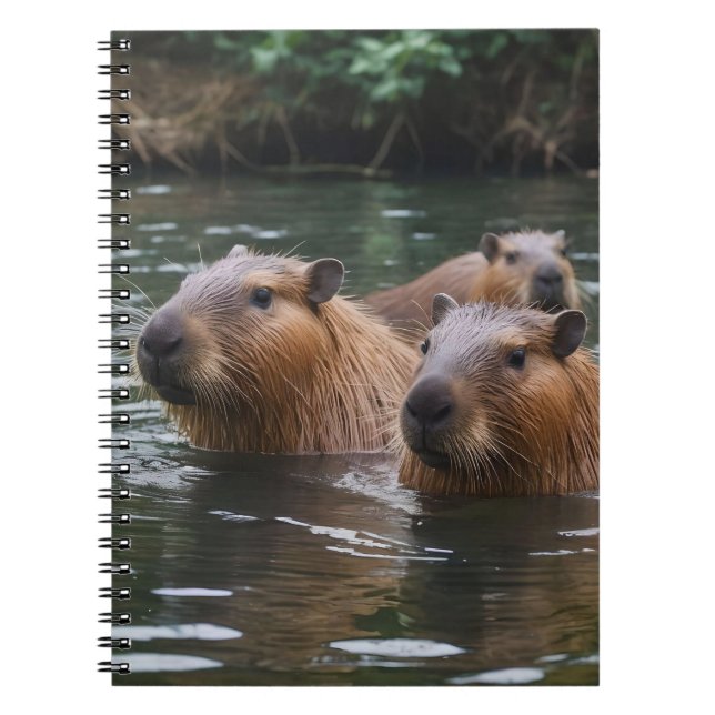 Caderno Espiral Capybaras Nadando No Rio, (Frente)